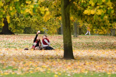 DSC_0590 (Large).JPG